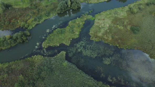 Park area. A winding river with water lilies. Swampy area. Aerial photography. alt