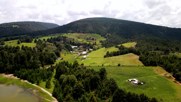 Aerial view of lake and forest in Mexico alt