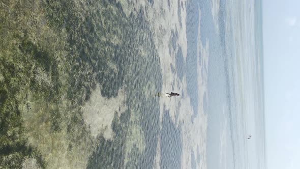 Zanzibar Tanzania  Vertical Video of a Coastal Landscape Slow Motion alt