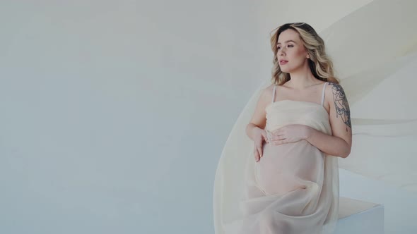 Attractive Young Pregnant Woman in Underwear Enjoy Motherhood and Waiting Birth alt