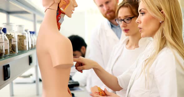 Students of Medicine Examining Anatomical Model in Classroom