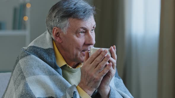 Close Up Portrait of Pensive Mature Old Man Wrapped in Warm Blanket Drinking Hot Tea Calm alt