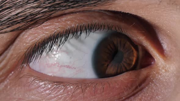 Eye Looks To the Right and To the Left alt