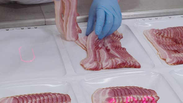 Hands of Worker Lay Out Bacon in Tray