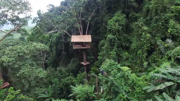 Ziplining To Tree House In Rainforest alt