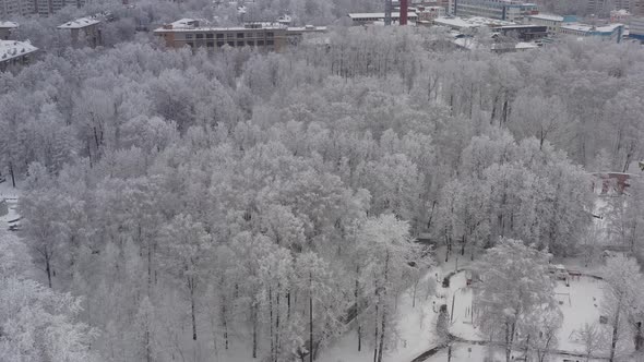 A Winter Cityscape After a Snowfall