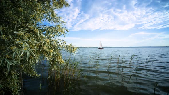 Small yacht boat sailing in calm open lake at sunset. Sailing vessel approaching to the green shore alt