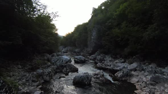 FPV Aerial Shot Dynamic Flying at Natural Landscape River Canyon in the Dense Green Forest and Rapid alt