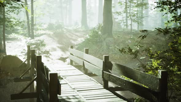 Old Wooden Bridge Over a Small Stream in a Park alt