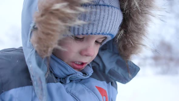 A Small Child Walks in the Winter Park alt