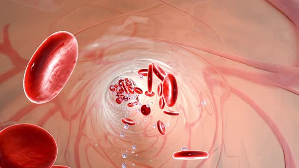 Bloodstream with flowing Erythrocytes and Oxygen.