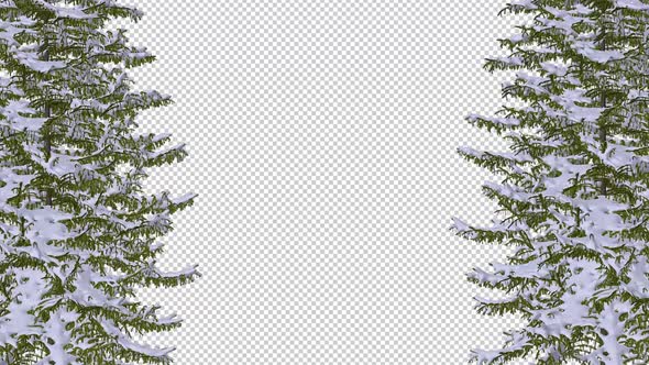 Christmas Trees - Snowy Forest - Windy Gate - Transparent Loop