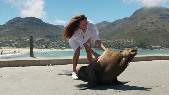 Woman in Contsct with a Fur Seal Inthe Wild Cape Town South Africa alt