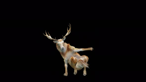 47 Deer Dancing 4K alt
