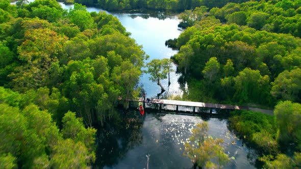 people kayaking in the wetlands The abundance of various plants. alt