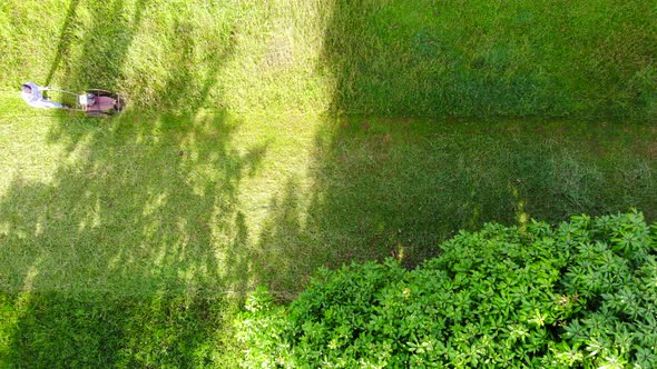 The man mowing grass in a lawn