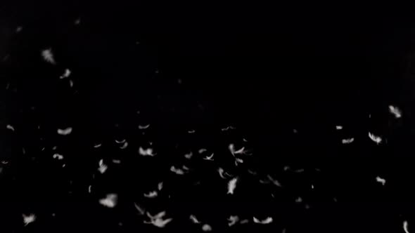 Flying Couch Hit 4K alt