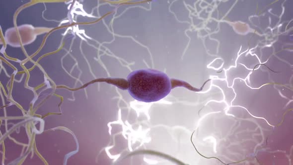 Intro Brain Impulses. Neuron System. Transferring Pulses And Generating alt