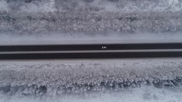 Road in Winter