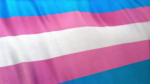 Transgender Pride Flag Loop