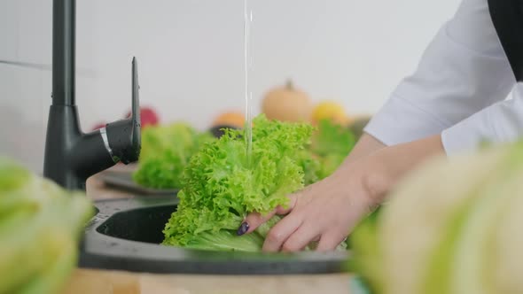 A Woman Is Washing Some Greens for Salad. Vegetables in the Kitchen. Woman's Hands Washing a Fresh alt