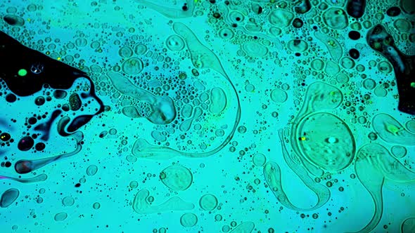 Virus cells or bacterias under microscope lens alt