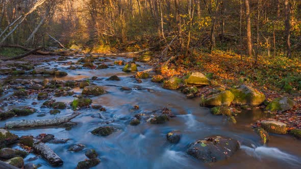  Timelapse of Small River Flow in Lithuania