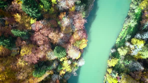 Top down aerial, colorful autumn trees lined next to turquoise river stream alt
