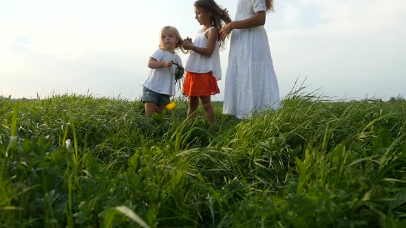 Mom Braids her Daughter's Hair. Mother Walks With Daughters Outside, at Green Grassy Fields.