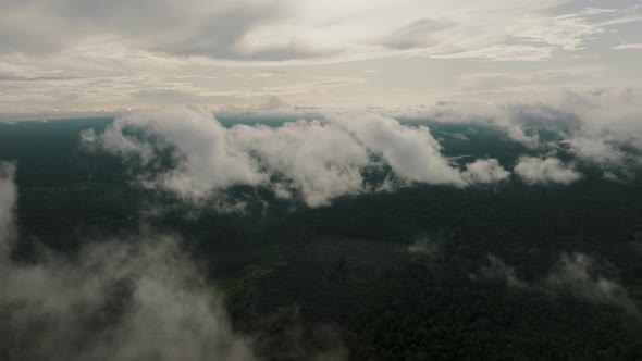 Clouds moving in over tropical jungle, South America; drone tilt-down alt