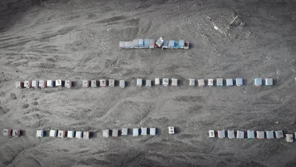 Beehives in countryside. Wooden beehive boxes in row on bee farm.  alt