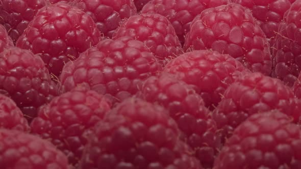 Red fresh ripe tasty raspberries close-up. beautiful berry background.