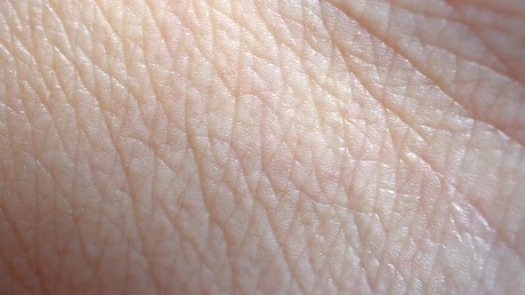 Human Skin Macro Background alt