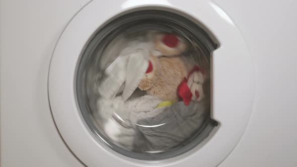 Teddy Bear Washes in the Washing Machine.