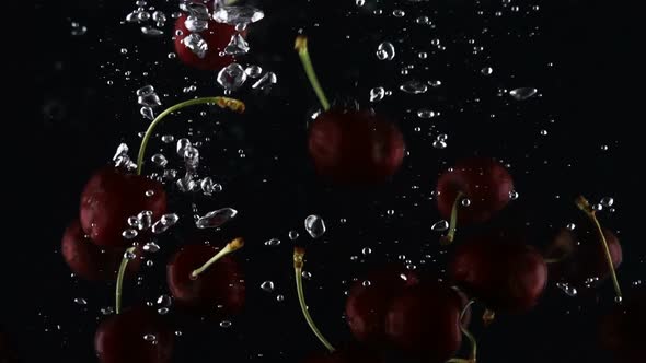 Ripe Dark Red Sweet Cherry Falls in Water on a Black Background
