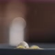 Slow Motion Seasoning Pesto Fettuccine in Blue Bowl Closeup - VideoHive Item for Sale