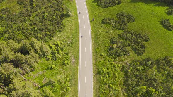 Aerial View Flying Over Two Lane Forest Road with Car Moving Green Trees of Woods Growing Both Sides alt