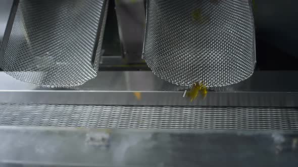 Yellow Gel Capsules Move on the Conveyor Belt of the Medical Machine alt