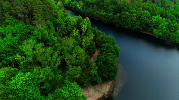 Beautiful Forest Aerial Footage alt