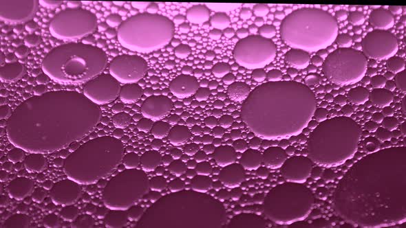 Macro Oil Drops In Pink Liquid