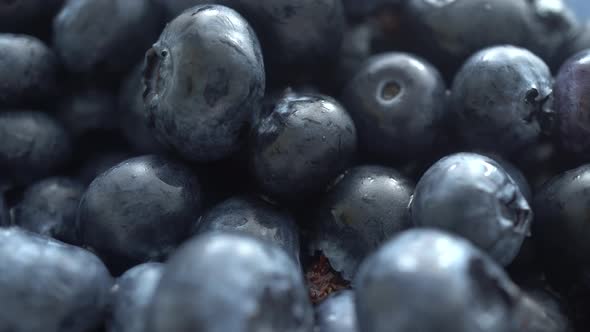 Macro Rotating Blueberries Background