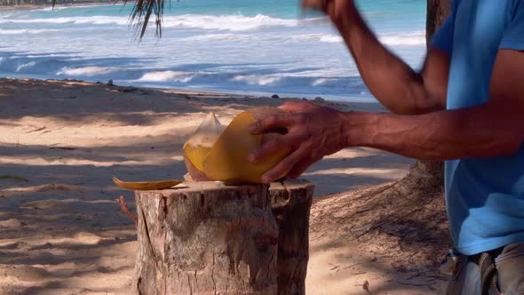 Man cuts coconut from water to offer to tourists on a tropical beach alt