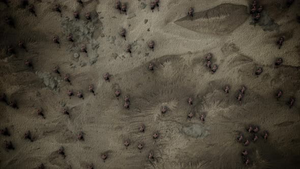 Top View Of An Ancient Infantry Charging In An Open Battlefield alt