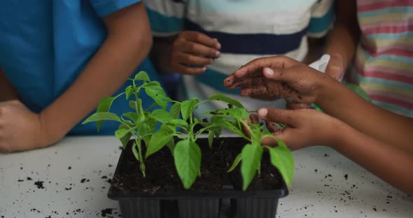 Diverse group of happy schoolchildren looking after plants in classroom during nature studies lesson alt