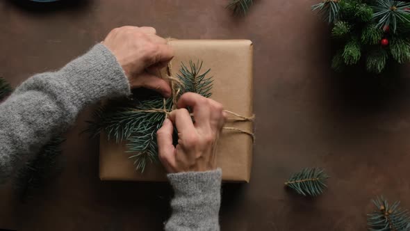 Female Hands Tie a Bow on Box with Christmas Gift alt