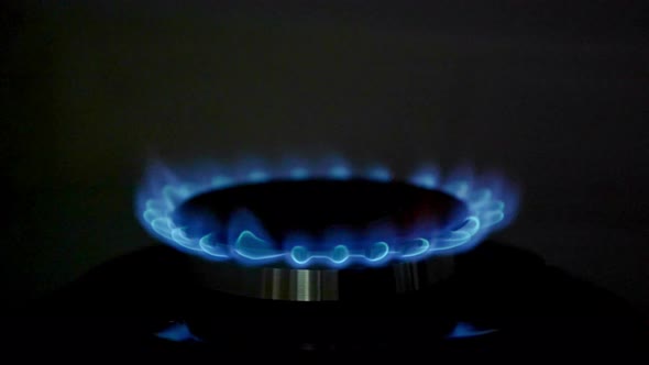 Gas Stove