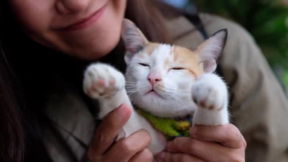 Slow motion of a young asian woman playing with a little cat