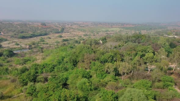Rural area view from top surrounded by dense green trees and houses under blue sky