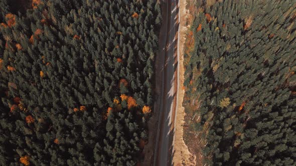 Aerial Top Down View Newly Made Asphalt Road Between Hills Green and Orange Woods alt