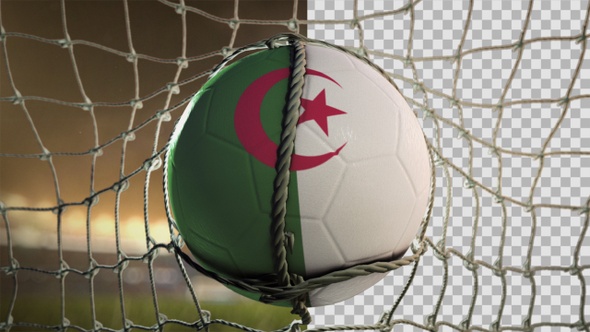 Soccer Ball Scoring Goal Night Frontal - Algeria